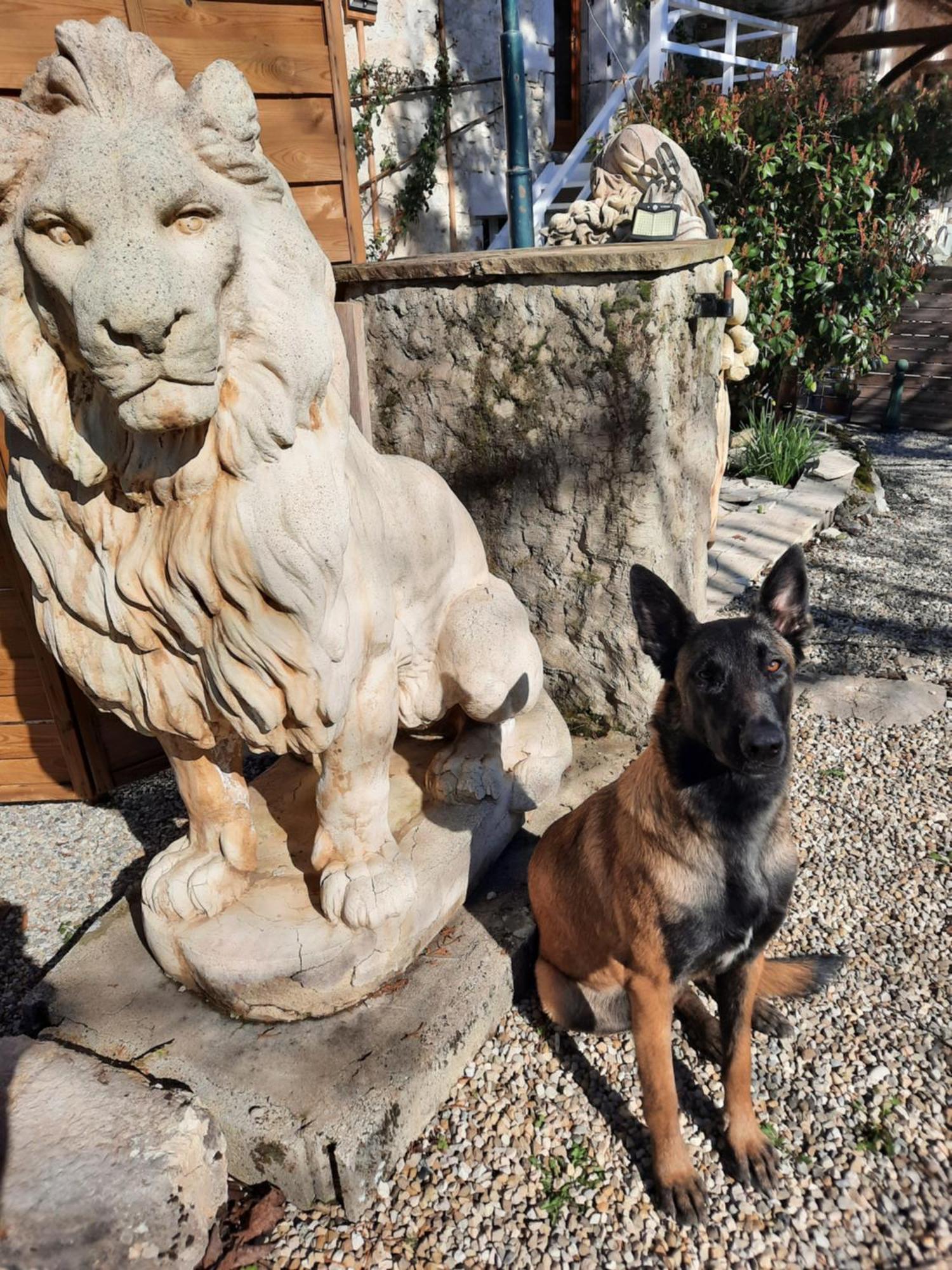 Gite Des 2 Lions Murs-et-Gelignieux Buitenkant foto